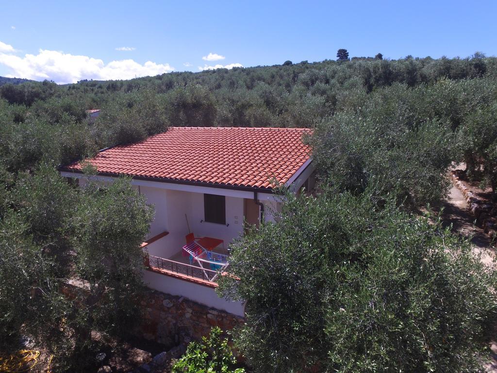 Zagare Residence Rodi Garganico Exterior photo